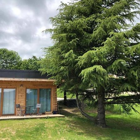 Studio-Mazot De Charme 26 M2 Parc Chartreuse Vimines Eksteriør bilde